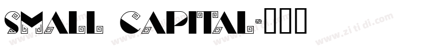 SMALL CAPITAL字体转换